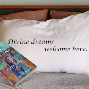 Livin' the Dream Book with Pillow Case Bundle